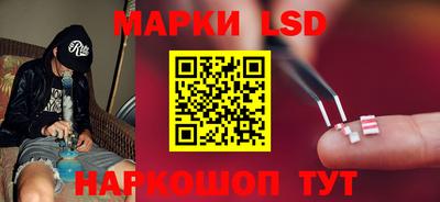прущие грибы Донской