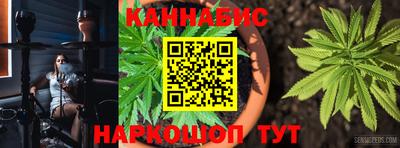МДПВ Дубна