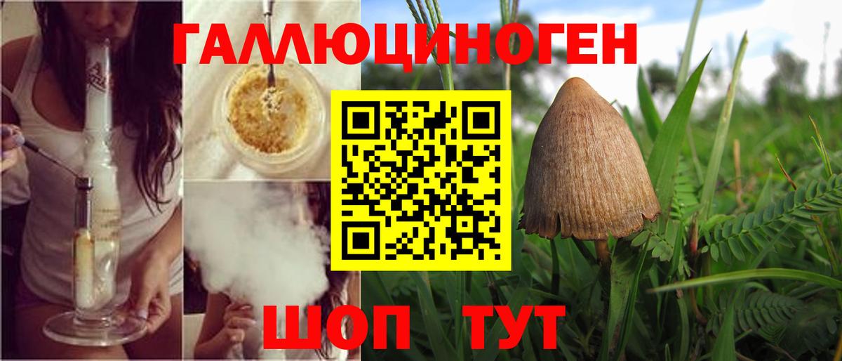 Галлюциногенные грибы GOLDEN TEACHER Миллерово